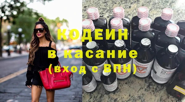 индика Алексин