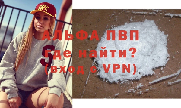 индика Алексин