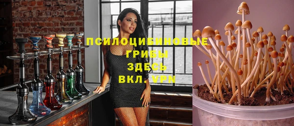 индика Алексин