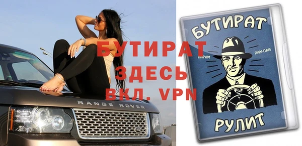 индика Алексин