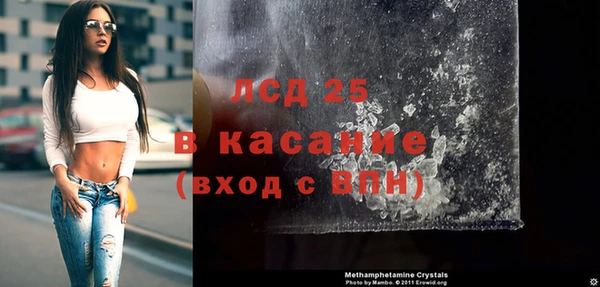 индика Алексин