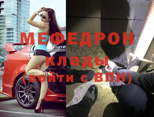индика Алексин