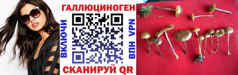 Псилоцибиновые грибы ЛСД  Калининград 